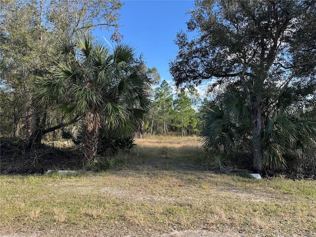 13182 Mandalay Dr, Punta Gorda FL, 33955 land for sale