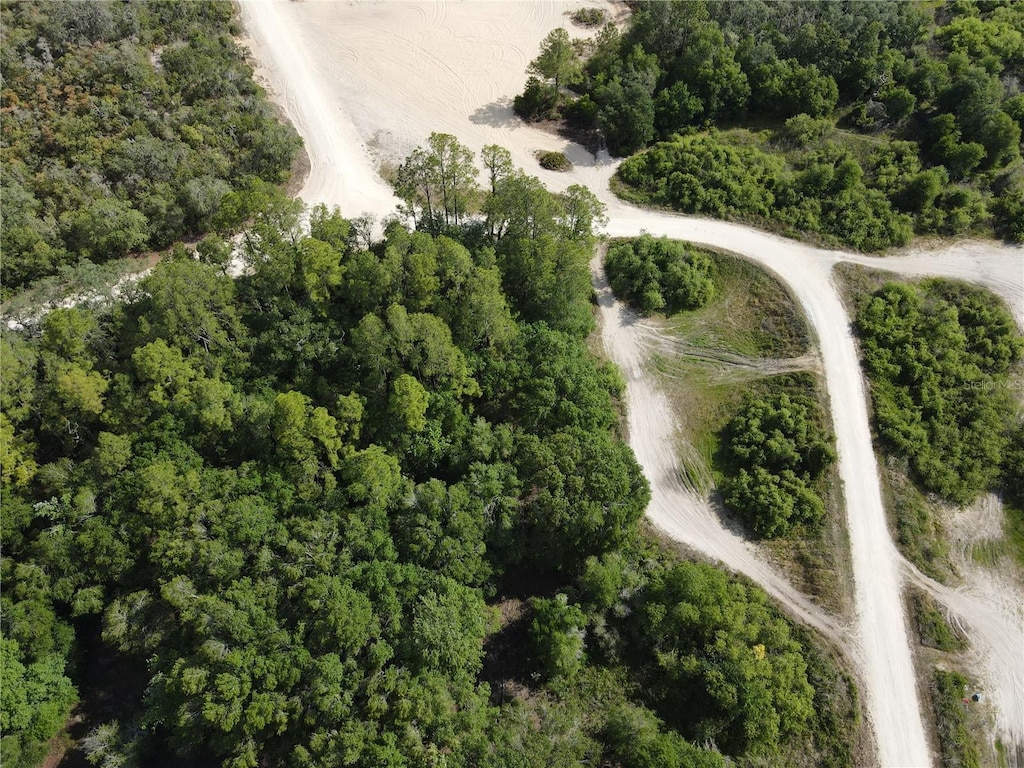 Coral Rock Dr, Webster, FL 33597 - photo 1