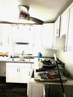 kitchen featuring white cabinetry, sink, and dark wood-type flooring