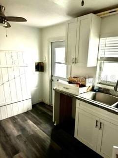 kitchen with white cabinetry, sink, ceiling fan, and dark hardwood / wood-style flooring