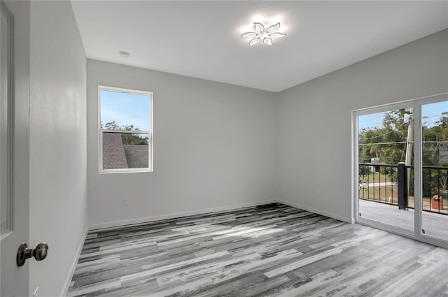 empty room featuring light hardwood / wood-style floors and a wealth of natural light