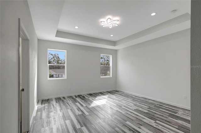 empty room with a raised ceiling, a wealth of natural light, and light wood-type flooring