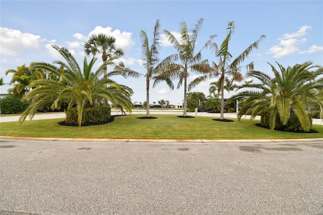 view of property's community featuring a yard