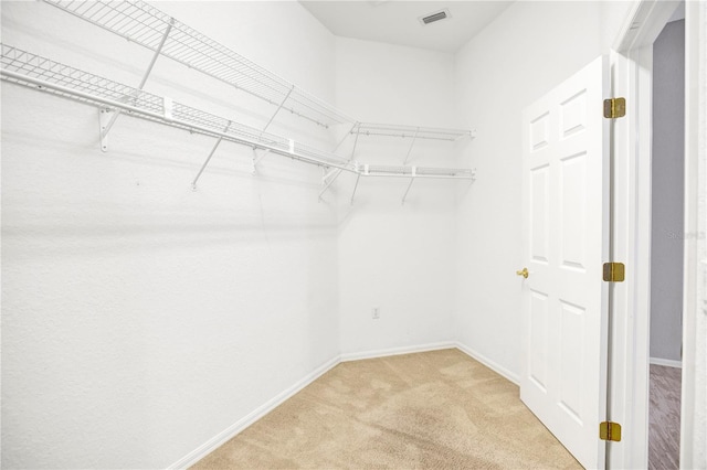 spacious closet featuring light colored carpet