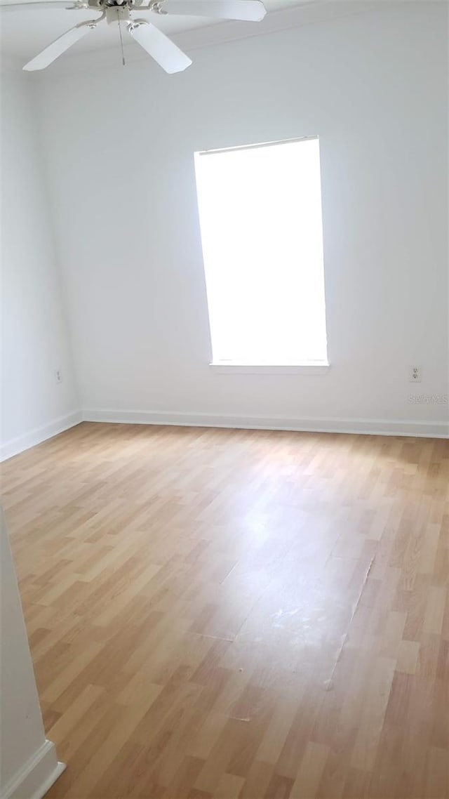 spare room featuring ceiling fan and light hardwood / wood-style flooring