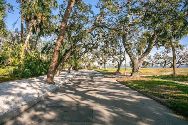 view of home's community with a yard