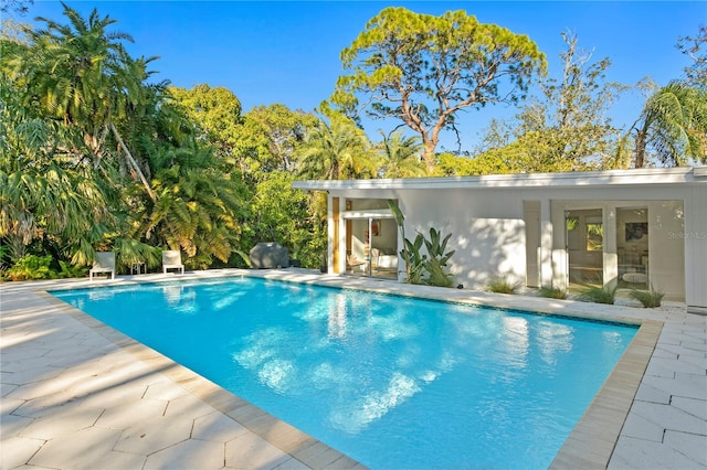 view of pool featuring a patio