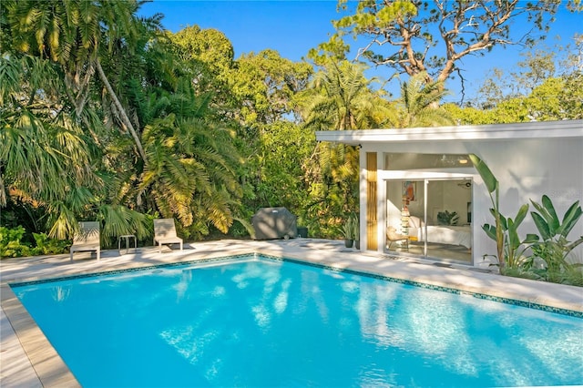 view of swimming pool featuring a patio and an outbuilding