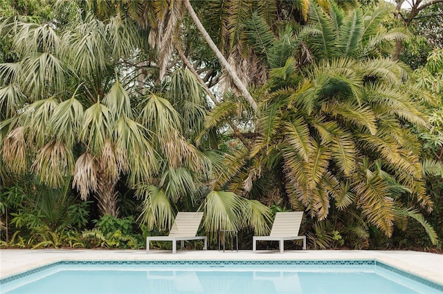 view of pool