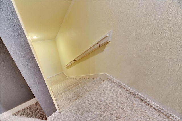 stairway featuring carpet