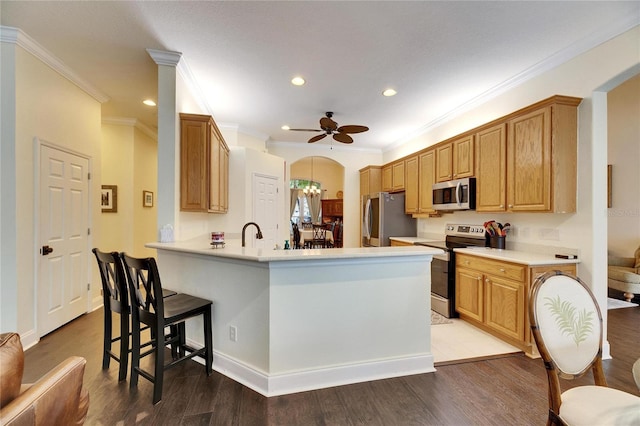 kitchen featuring kitchen peninsula, wood-type flooring, ceiling fan with notable chandelier, ornamental molding, and stainless steel appliances