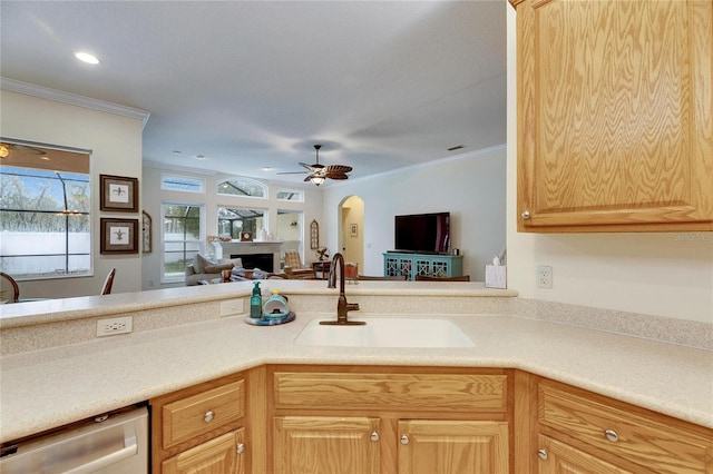 kitchen featuring sink, crown molding, light brown cabinetry, and stainless steel dishwasher