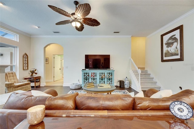 living room featuring ceiling fan and crown molding