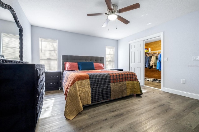 bedroom featuring a walk in closet, dark wood-type flooring, a closet, and ceiling fan