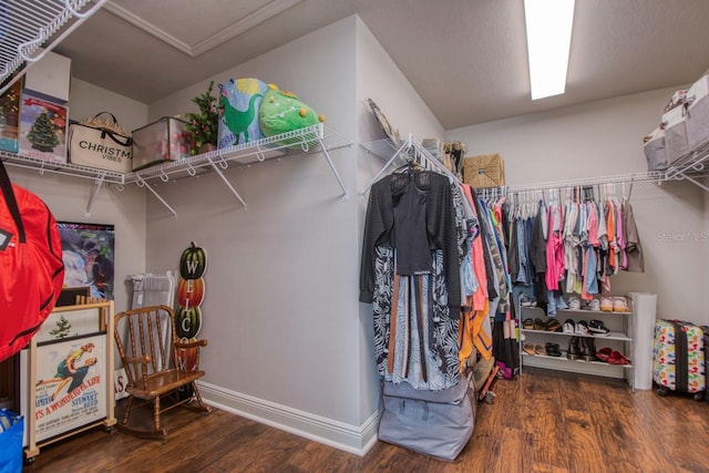 spacious closet with hardwood / wood-style flooring