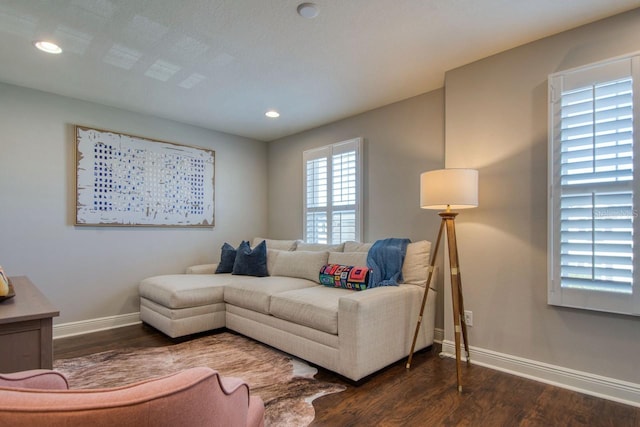 living room with dark hardwood / wood-style floors