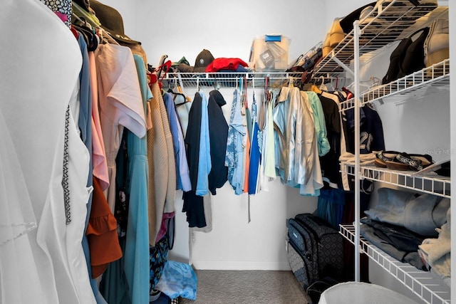 spacious closet with carpet