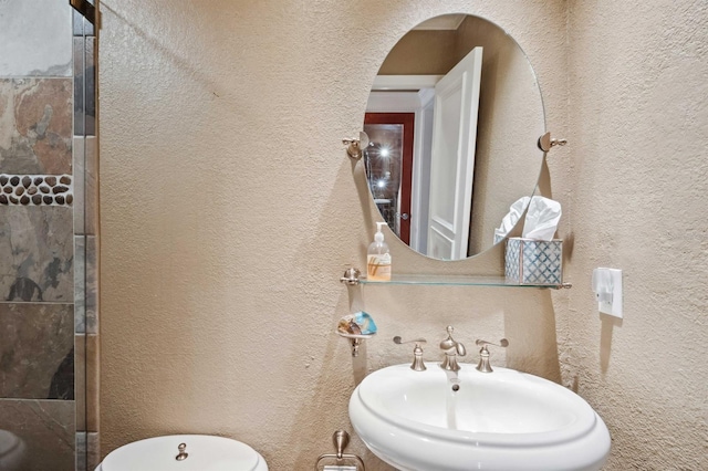 bathroom with sink and a shower