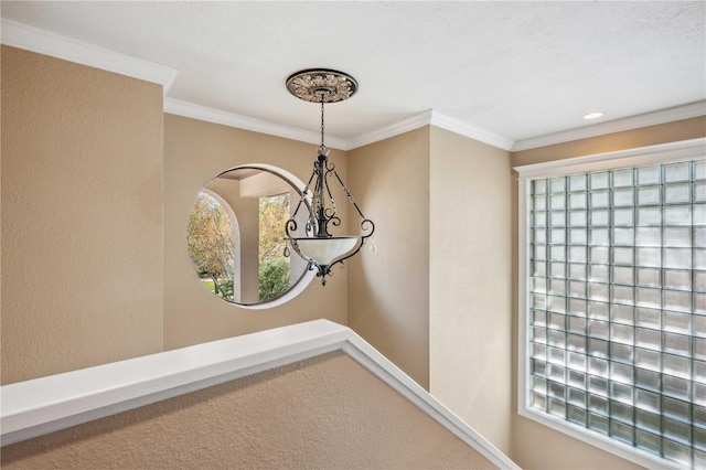 513 Suwanee Cir, Tampa, FL 33606 - photo 55