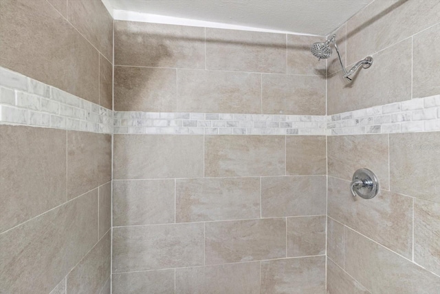 interior details with tiled shower