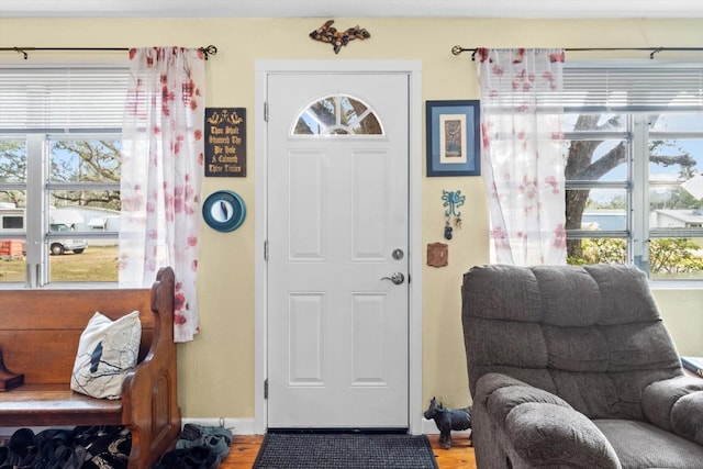 entryway featuring hardwood / wood-style floors