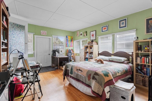 bedroom featuring a paneled ceiling and light hardwood / wood-style flooring