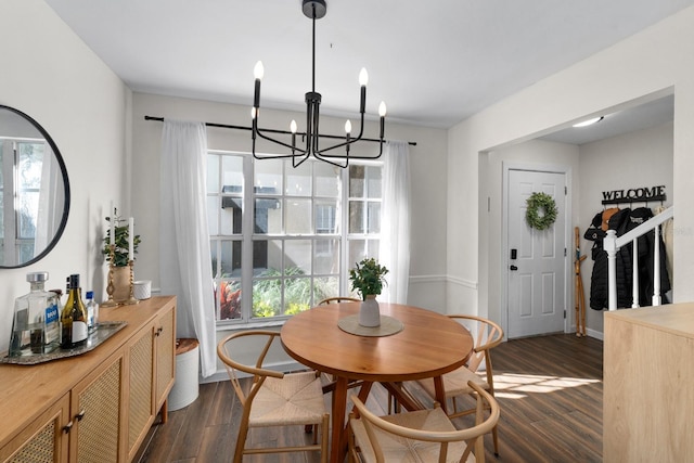 dining room with a notable chandelier, a healthy amount of sunlight, and dark wood-type flooring