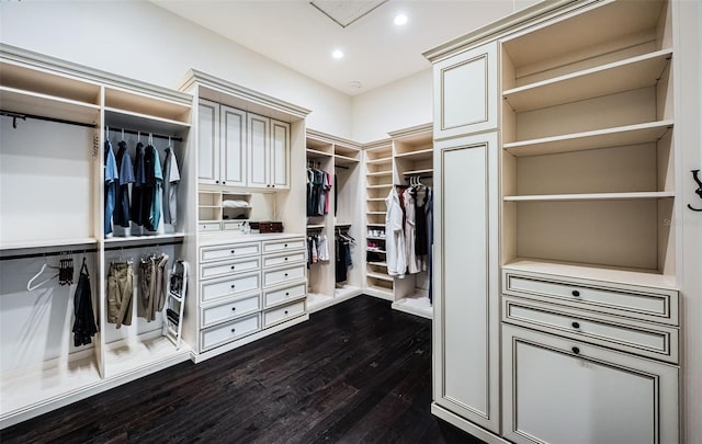 walk in closet featuring dark wood-type flooring