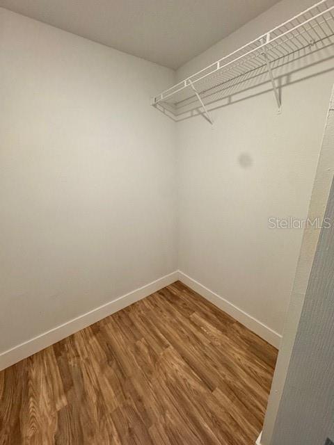 spacious closet with hardwood / wood-style floors