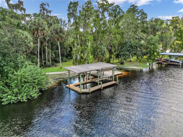 dock area featuring a water view