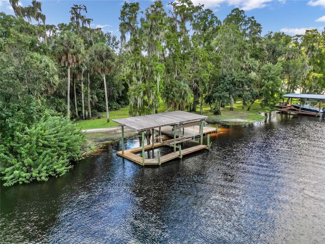 11624 Monette Rd, Riverview, FL 33569 - dock with boat lift, a water view, and view of scattered trees