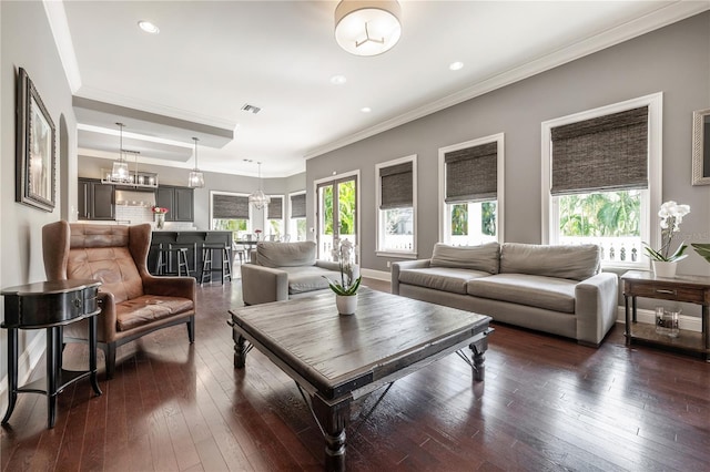 living room featuring dark hardwood / wood-style floors and crown molding