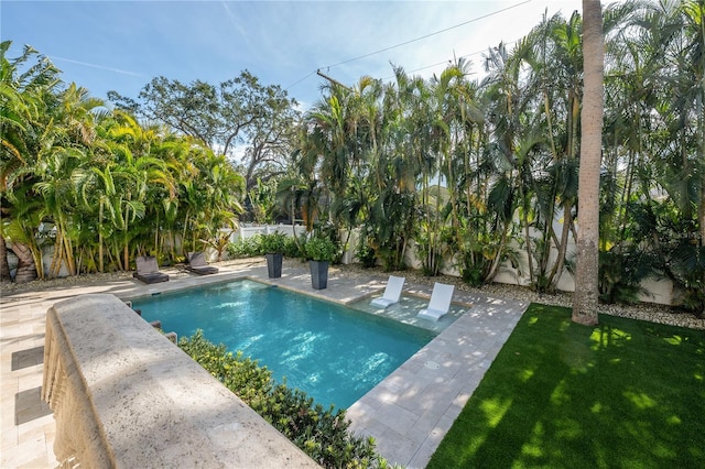 view of pool with a patio area