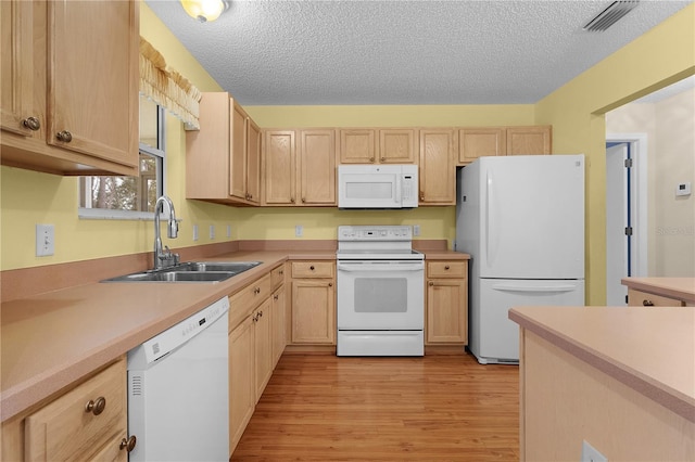 kitchen featuring sink, white appliances, light hardwood / wood-style floors, and light brown cabinets