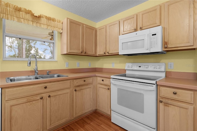 kitchen with sink, light hardwood / wood-style flooring, a textured ceiling, light brown cabinets, and white appliances