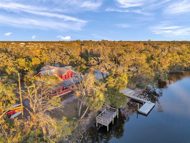 aerial view featuring a water view and a wooded view