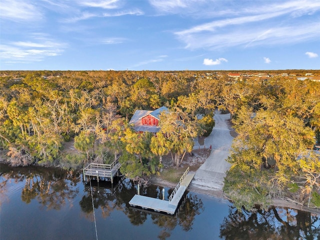 birds eye view of property featuring a water view and a forest view