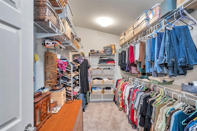 walk in closet featuring light carpet