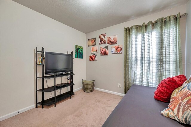5720 107th Ter E, Parrish, FL 34219 - carpeted bedroom featuring baseboards and a textured ceiling