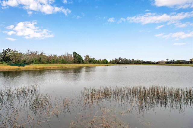 5720 107th Ter E, Parrish, FL 34219 - water view