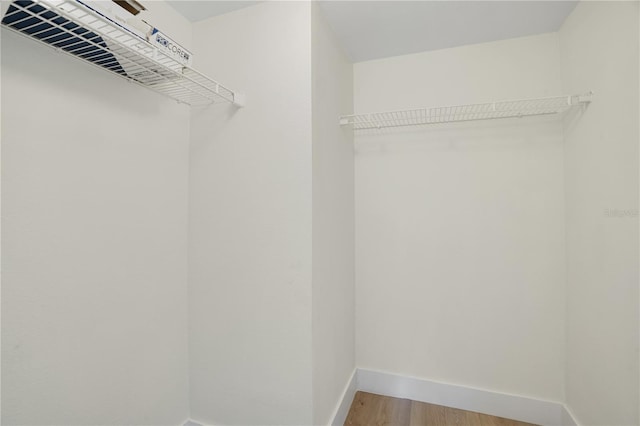 walk in closet featuring hardwood / wood-style floors