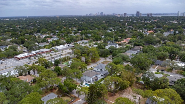 bird's eye view