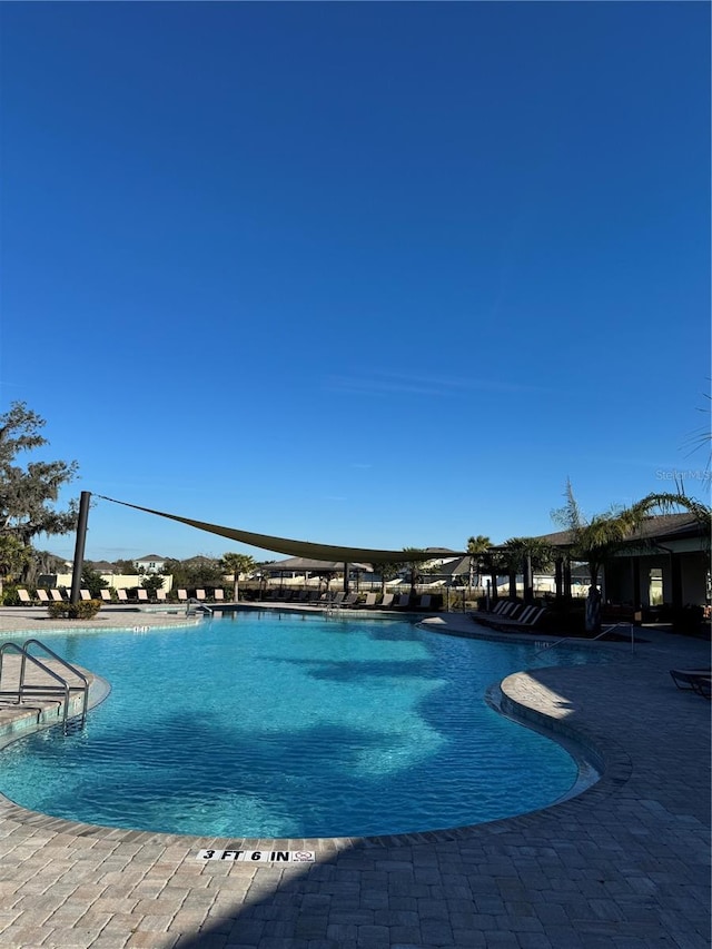 view of pool featuring a patio