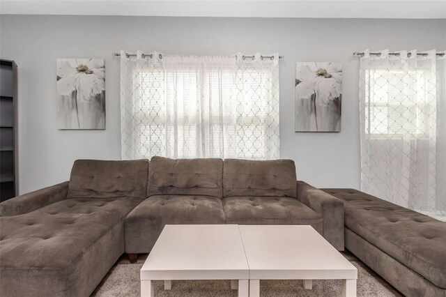 living room with carpet flooring