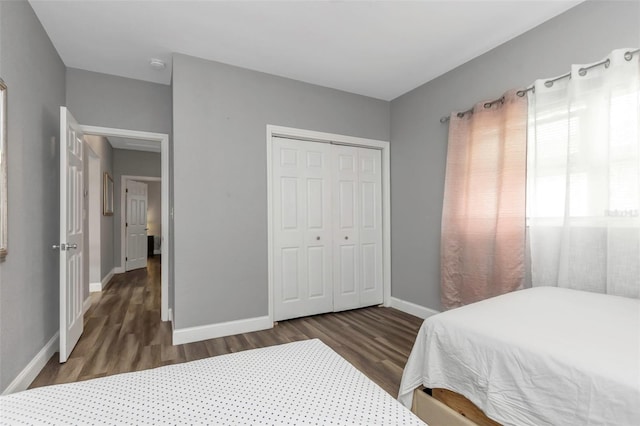 bedroom featuring dark hardwood / wood-style floors and a closet