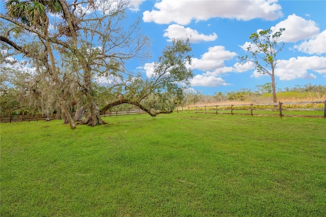 view of yard with a rural view