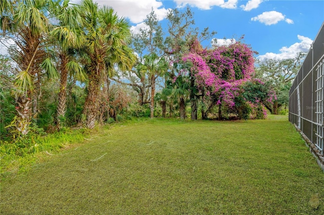 view of yard with a lanai