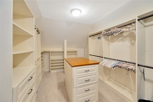 spacious closet with light carpet