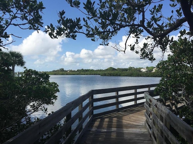 dock area with a water view