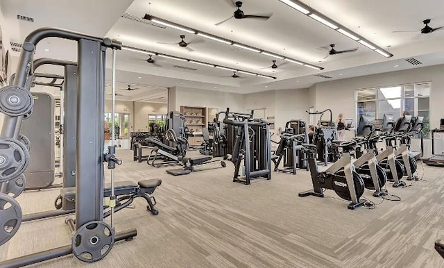 workout area featuring a wealth of natural light and ceiling fan